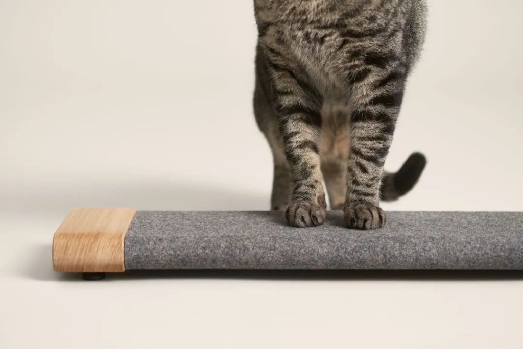 The 5 Best Creative Pet Supplies of 2022