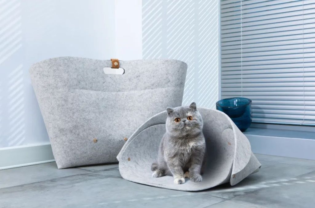 The 5 Best Creative Pet Supplies of 2022