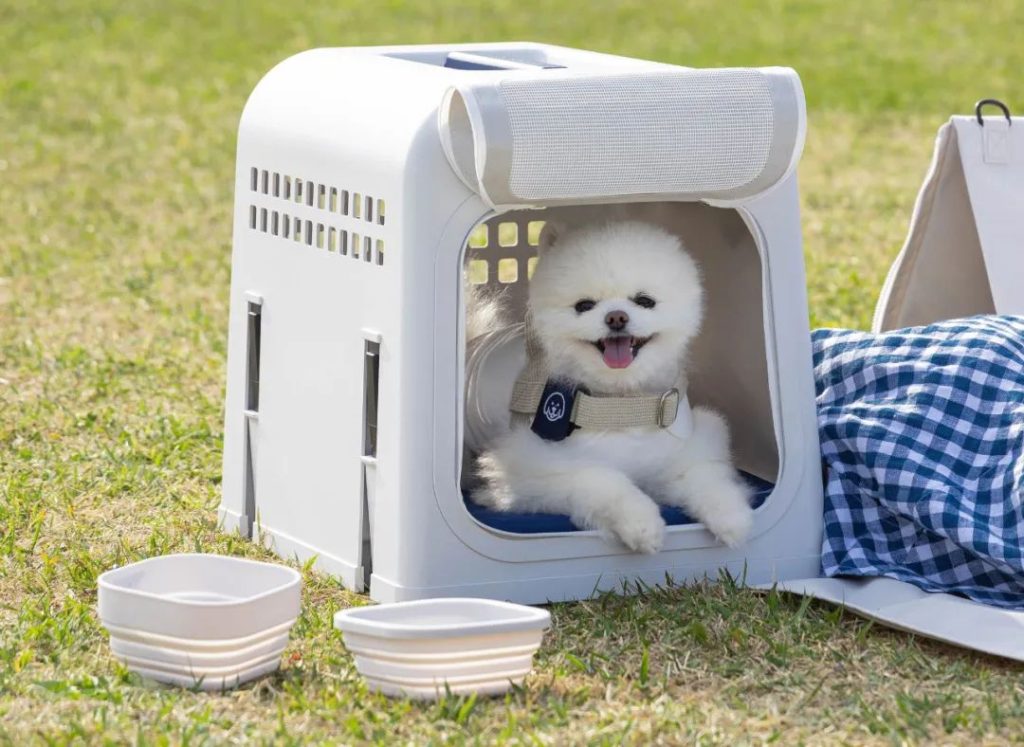 The 5 Best Creative Pet Supplies of 2022