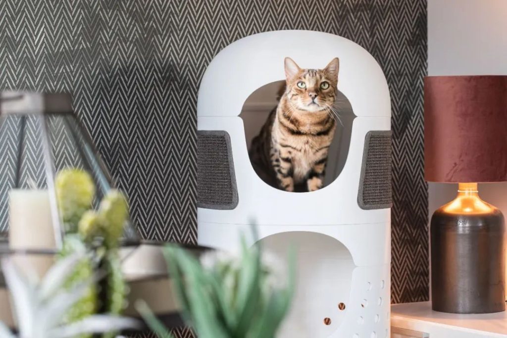 The 5 Best Creative Pet Supplies of 2022